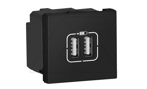 Купить Mosaic - Розетка 2xUSB Type A, 2М, 5V, 2400mA, винт. зажимы, черная фото