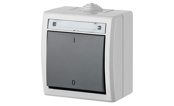 Купить AQUANT - Выключатель двухполюсный, 10A/250V, ABS ,UV, IP55, корпус RAL7035/кнопка RAL7043 фото