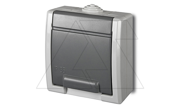 Купить AQUANT - Розетка 2P+E, 16A/250V, с крышкой, ABS ,UV, IP55, корпус RAL7035/крышка RAL7043 фото
