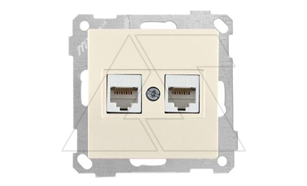 Купить 21 - Розетка 2хRJ-45 кат. 6 UTP, сл.кость фото