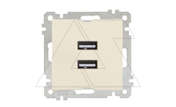 Купить 21 - Розетка 2xUSB Type A, сл.кость фото