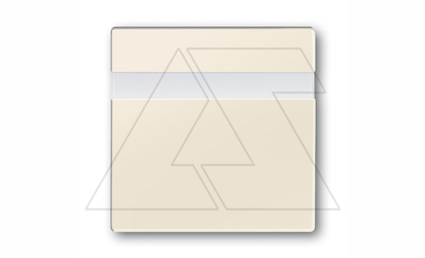 Купить Basic 55 - Обрамление для инфракрасного выключателя 6815U,6816U,40-300Вт (сл.кость) фото