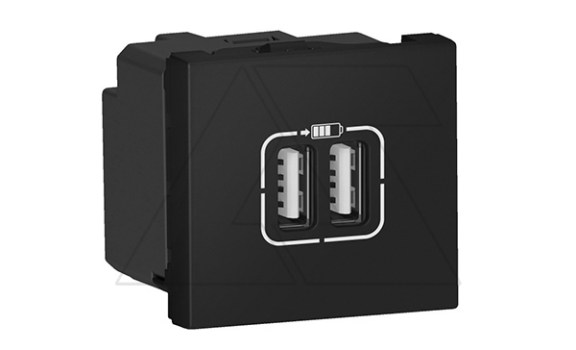 Mosaic - Розетка 2xUSB Type A, 2М, 5V, 2400mA, винт. зажимы, черная фото