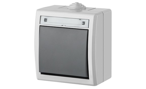 AQUANT - Выключатель/переключатель на 2 направления, 10A/250V, ABS ,UV, IP55, корпус RAL7035/кнопка RAL7043 фото