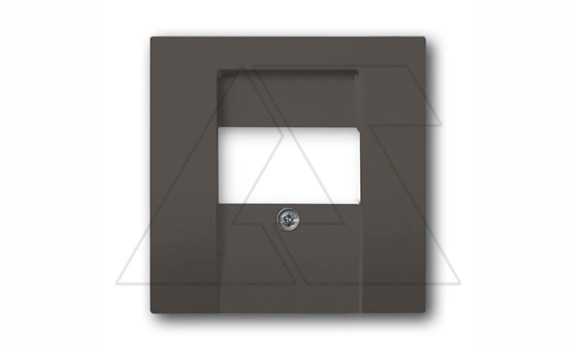 Basic 55 - Лицевая панель для аккустических и 2хUSB розеток (шато-черный) фото