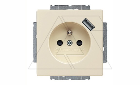 Basic 55 - Розетка 2P+E нем. стд. + USB (сл.кость) фото