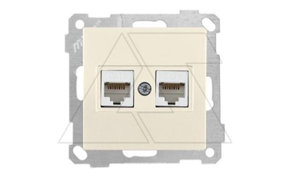 21 - Розетка 2хRJ-45 кат. 6 UTP, сл.кость фото