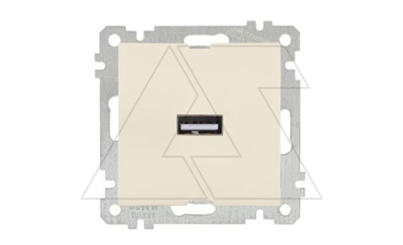 21 - Розетка 1xUSB Type A, сл.кость фото