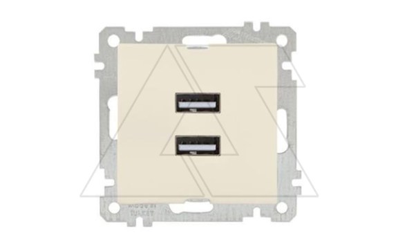 21 - Розетка 2xUSB Type A, сл.кость фото