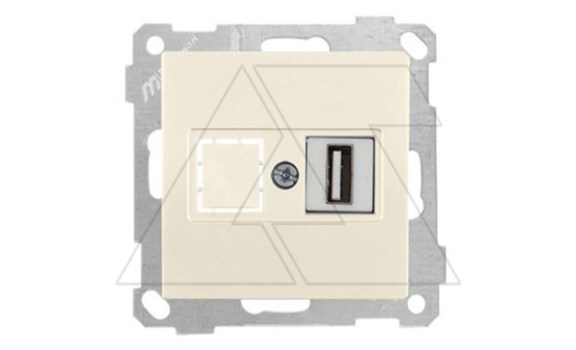 21 - Розетка 1xUSB Type A, для передачи данных, сл.кость фото