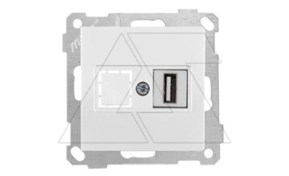 21 - Розетка 1xUSB Type A, для передачи данных, белый фото