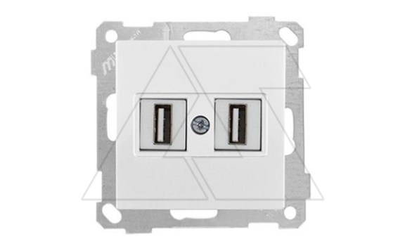21 - Розетка 2xUSB Type A, для передачи данных, белый фото