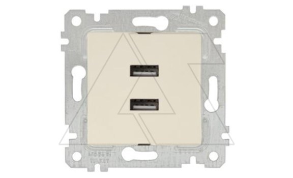 Rita - Розетка 2xUSB Type A, сл.кость фото