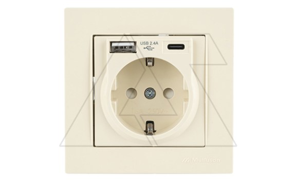 Rita - Розетка 2P+E, USB Type A, USB Type С, 2,4A (однопостовой монтаж в комплекте с рамкой), сл. кость фото
