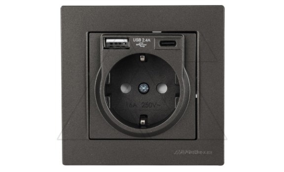 Rita - Розетка 2P+E, USB Type A, USB Type С, 2,4A (однопостовой монтаж в комплекте с рамкой), дымчатый фото