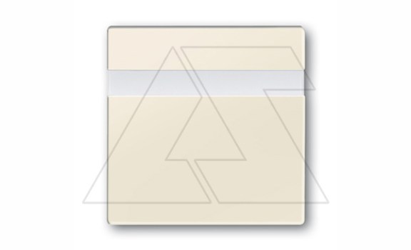 Basic 55 - Обрамление для инфракрасного выключателя 6815U,6816U,40-300Вт (сл.кость) фото