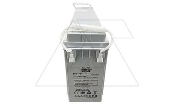 Батарея аккумуляторная фронт-терминальная Champion Power 6FM100F, F12(M8), 12V100Ah, 507х110х225(232) ДхШхВ, 12 лет Champion Power даташит схема