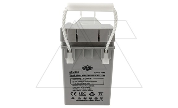 Батарея аккумуляторная фронт-терминальная Champion Power 6FM75F, F12(M8), 12V/75Ah, 562х114х188(193) ДхШхВ, 12 лет Champion Power даташит схема