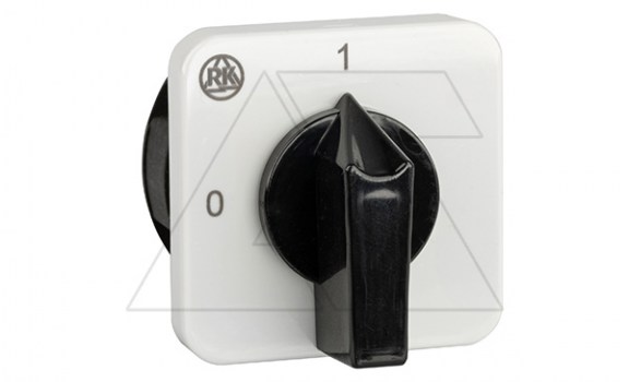 Переключатель BS 16 06 U, 2P, 20A, тип 0-1 (90°), 2NO на 1, 2.5kW(230VAC по АС-23), на дверь, фронт IP40 фото