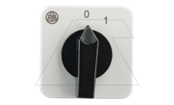 Переключатель BS 16 02 U, 2P, 20A, тип 0←1, 2NO на 1, на дверь, фронт IP40 Rade Koncar даташит схема